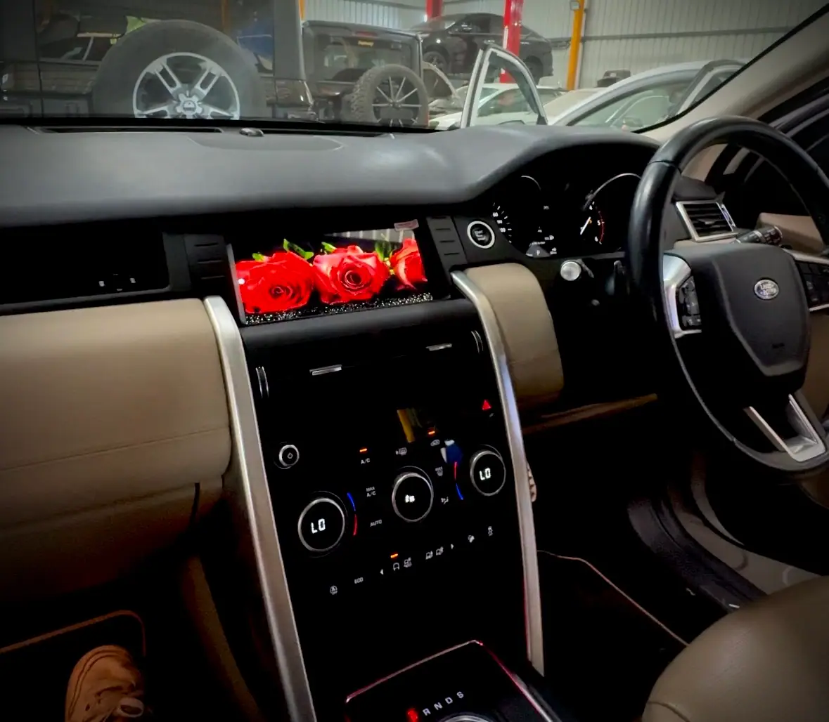 Interior Cleaning